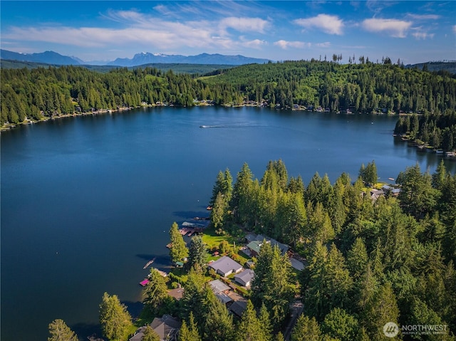 29 NW Lake Roesiger Rd, Snohomish, WA 98290 - photo 38