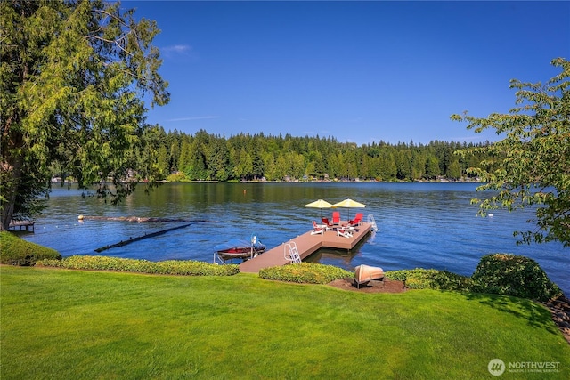 29 NW Lake Roesiger Rd, Snohomish, WA 98290 - photo 2