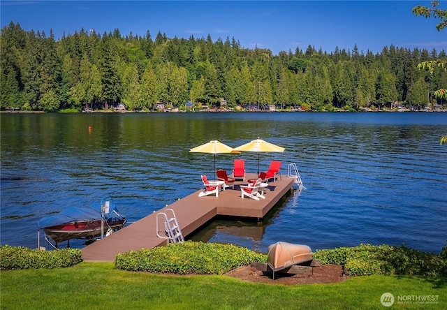 29 NW Lake Roesiger Rd, Snohomish, WA 98290 - photo 27