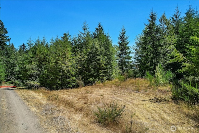 0LOT3 SE Yeshua Ln, Port Orchard, WA 98366 - photo 2