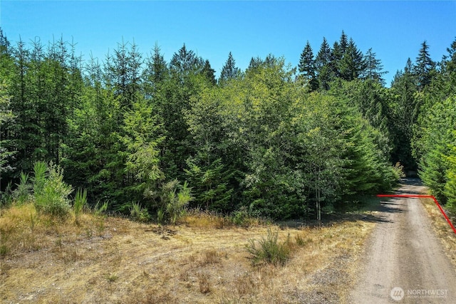 0LOT3 SE Yeshua Ln, Port Orchard, WA 98366 - photo 4