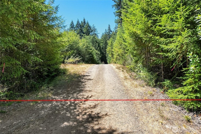 0LOT3 SE Yeshua Ln, Port Orchard, WA 98366 - photo 14