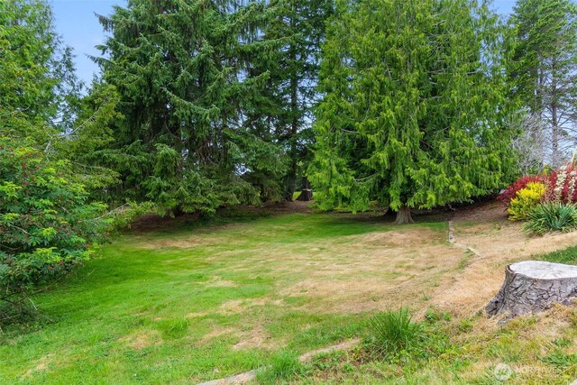 711 Purkey Ave, Aberdeen, WA 98520 - photo 36