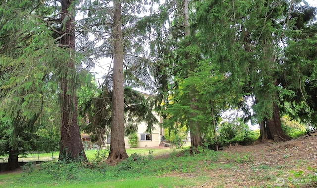 711 Purkey Ave, Aberdeen, WA 98520 - photo 37