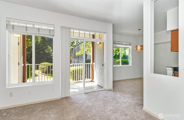 14821 29th Ave W Unit K101, Lynnwood, WA 98087 - photo 5