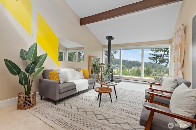 22 Marigold Dr Unit 13, Bellingham, WA 98229 - photo 14