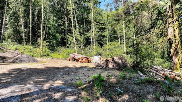 471 Summerland Rd, Bellingham, WA 98229 - photo 6