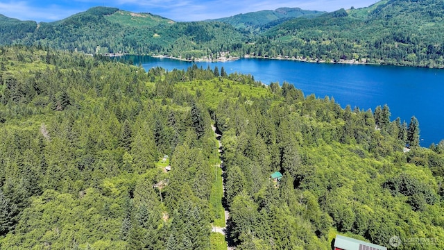 471 Summerland Rd, Bellingham, WA 98229 - photo 11
