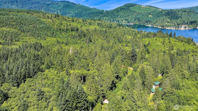 471 Summerland Rd, Bellingham, WA 98229 - photo 14