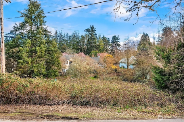 175 96th Pl SW, Vashon, WA 98070 - photo 2
