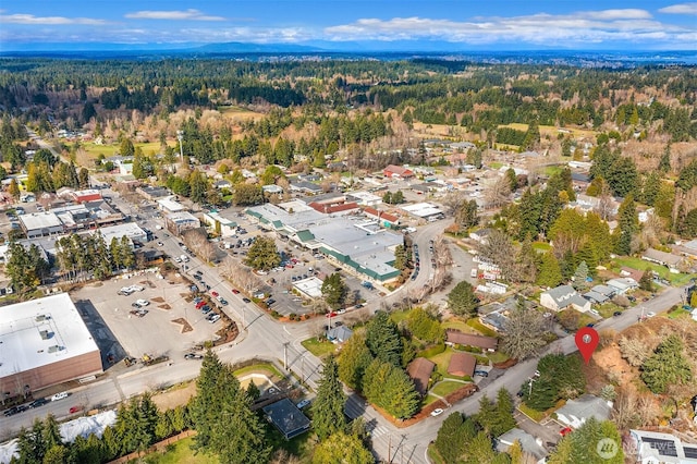 175 96th Pl SW, Vashon, WA 98070 - photo 4