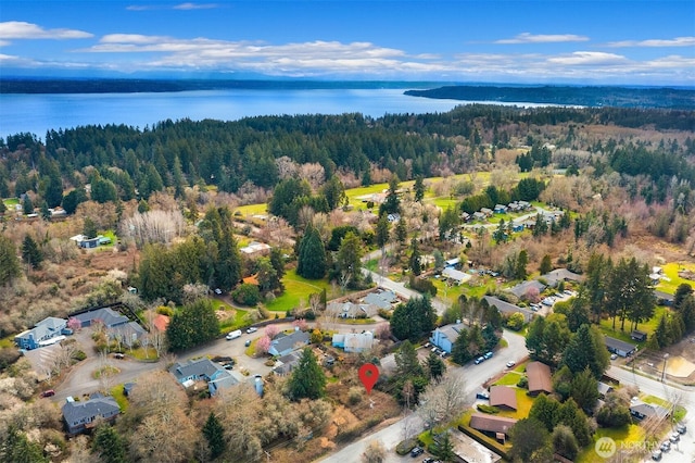 175 96th Pl SW, Vashon, WA 98070 - photo 6