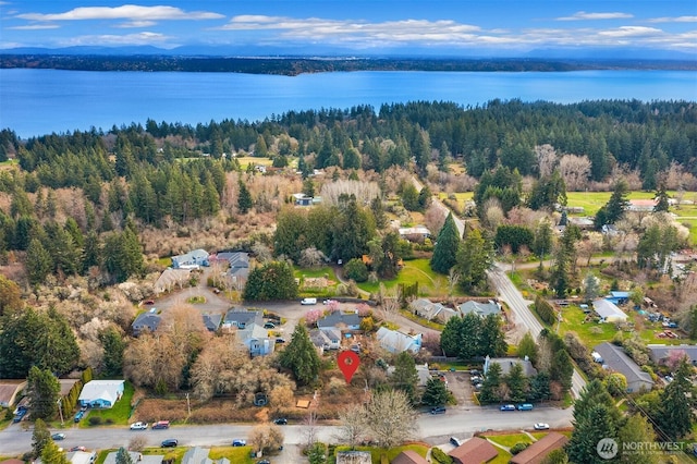 175 96th Pl SW, Vashon, WA 98070 - photo 7