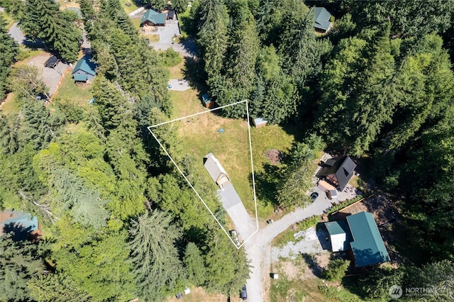 55504 311th Avenue Ct E, Ashford, WA 98304 - photo 29