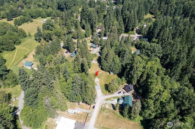 55504 311th Avenue Ct E, Ashford, WA 98304 - photo 30