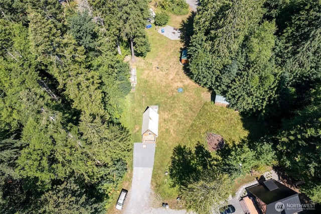 55504 311th Avenue Ct E, Ashford, WA 98304 - photo 38