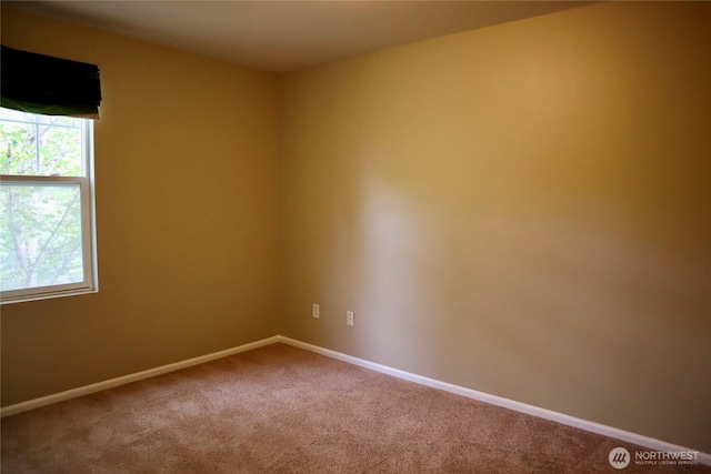 6921 Elderberry Ave SE, Snoqualmie, WA 98065 - photo 33