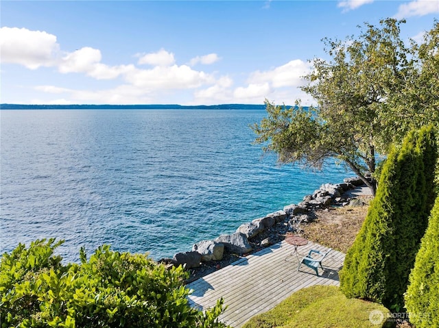 2563 Perkins Ln W, Seattle, WA 98199 - photo 1
