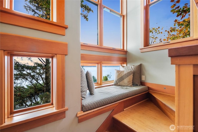 2563 Perkins Ln W, Seattle, WA 98199 - photo 32