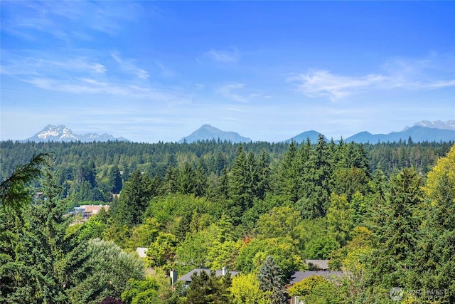 20183 Vikings Crest Loop NE Unit 4-205, Poulsbo, WA 98370 - photo 3
