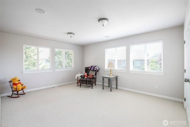 17718 92nd Ave E, Puyallup, WA 98375 - photo 24