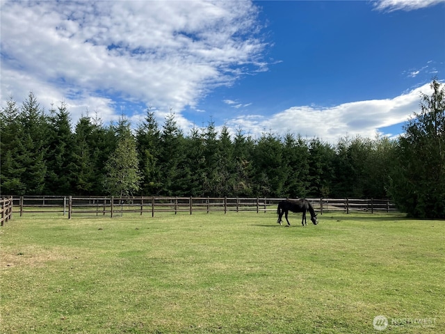 47308 323rd Ave SE, Enumclaw, WA 98022 - photo 33