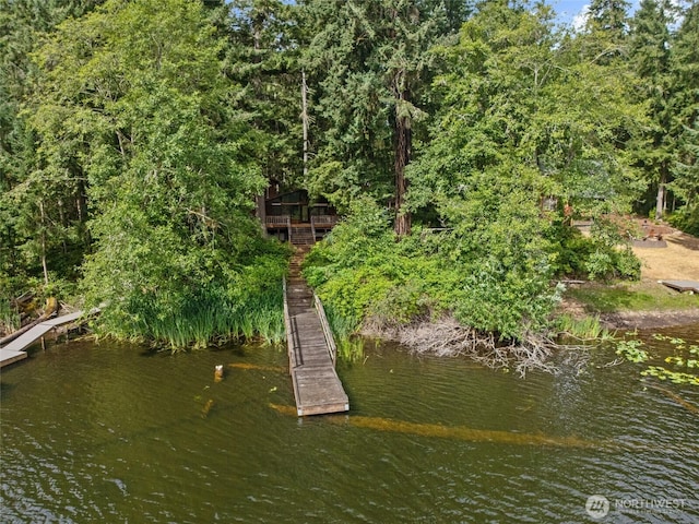 10911 Country Club Dr, Anderson Island, WA 98303 - photo 3