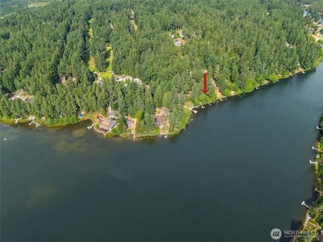 10911 Country Club Dr, Anderson Island, WA 98303 - photo 10