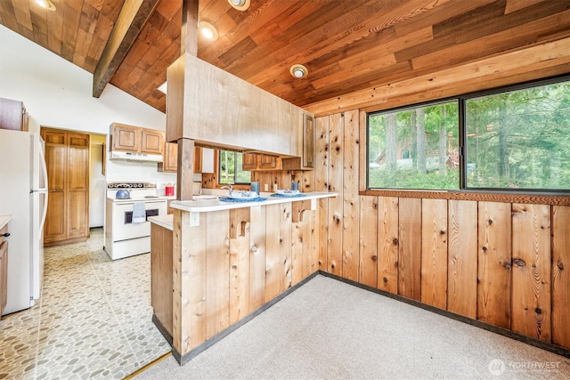 10911 Country Club Dr, Anderson Island, WA 98303 - photo 17