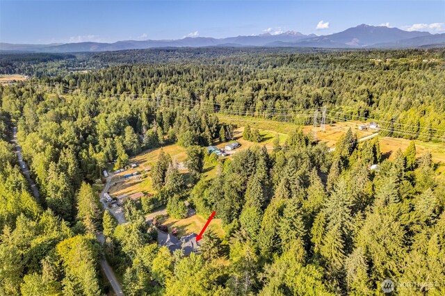 14032 30th St SE, Snohomish, WA 98290 - photo 40