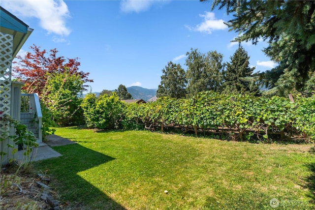 40 Mclallen Ln, Manson, WA 98831 - photo 29