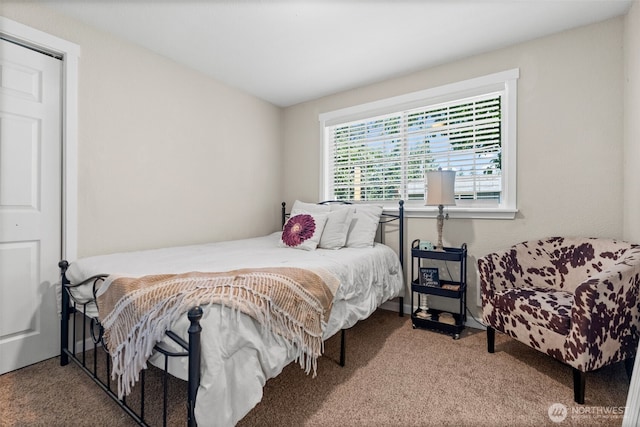 17019 19th Ave E, Spanaway, WA 98387 - photo 24
