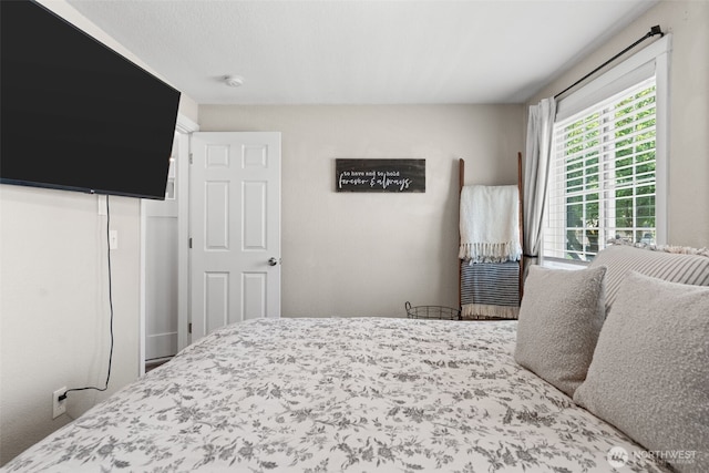 17019 19th Ave E, Spanaway, WA 98387 - photo 17