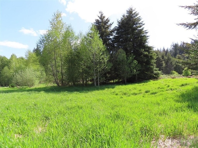 3898 State Route 6, Chehalis, WA 98532 - photo 3