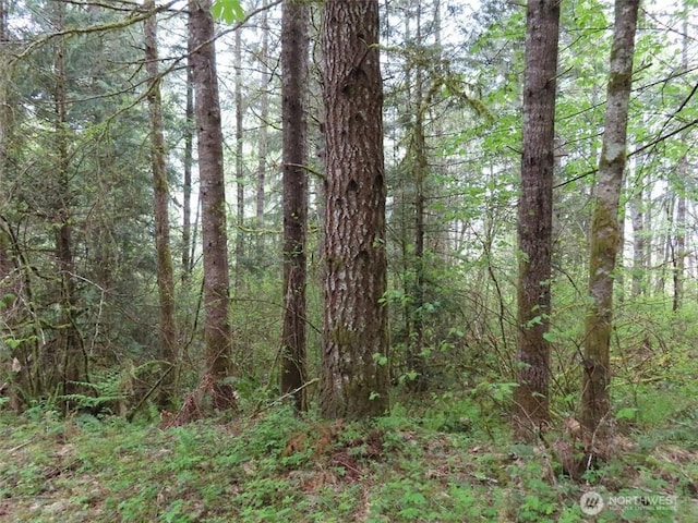 3898 State Route 6, Chehalis, WA 98532 - photo 4
