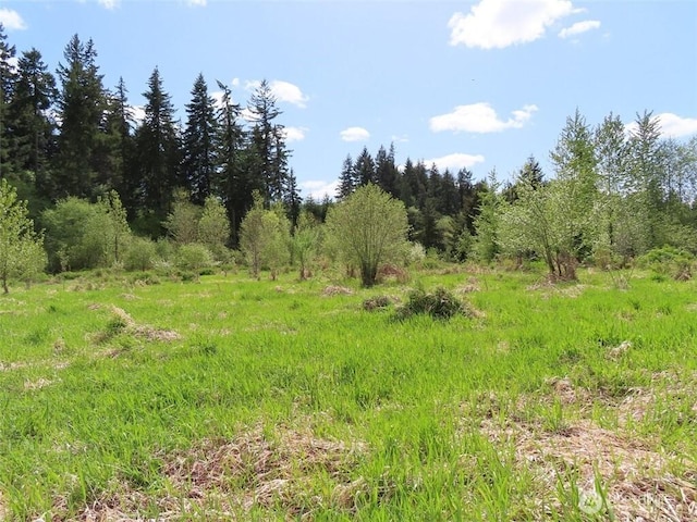3898 State Route 6, Chehalis, WA 98532 - photo 5
