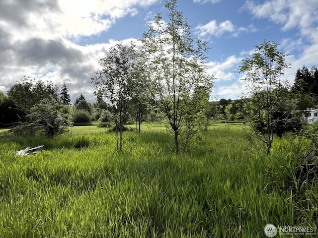 3898 State Route 6, Chehalis, WA 98532 - photo 7