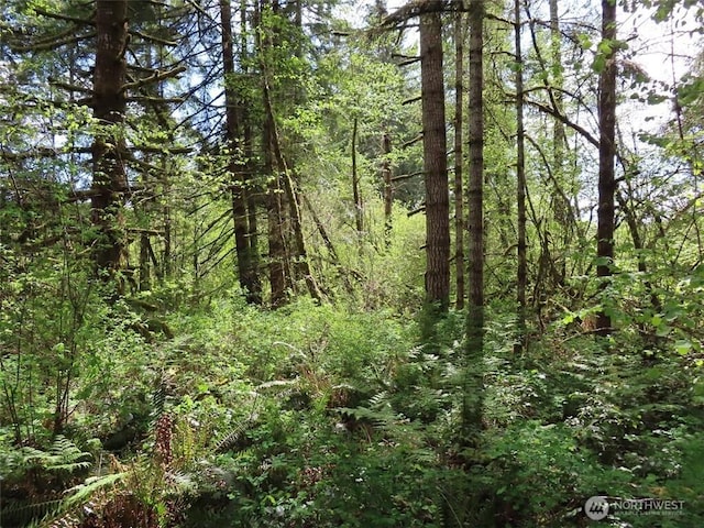 3898 State Route 6, Chehalis, WA 98532 - photo 9