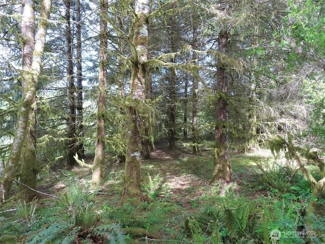 3898 State Route 6, Chehalis, WA 98532 - photo 12