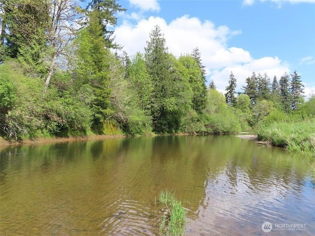 3898 State Route 6, Chehalis, WA 98532 - photo 13