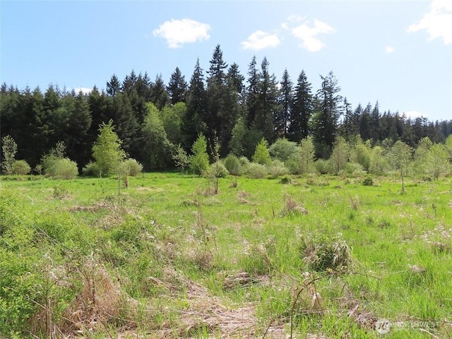 3898 State Route 6, Chehalis, WA 98532 - photo 14