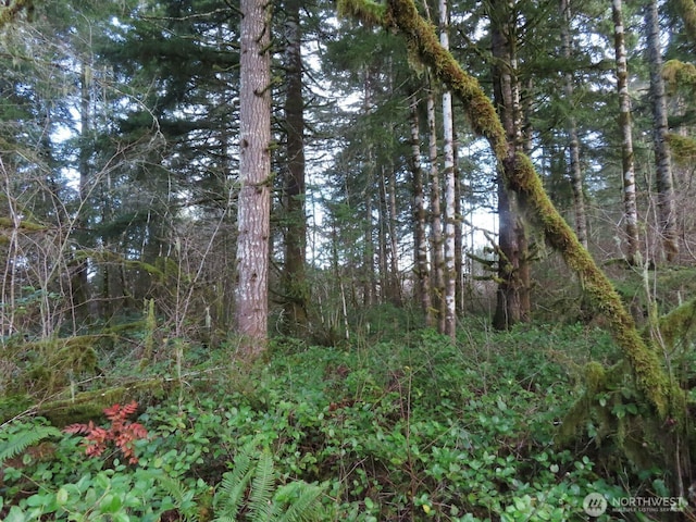 3898 State Route 6, Chehalis, WA 98532 - photo 15