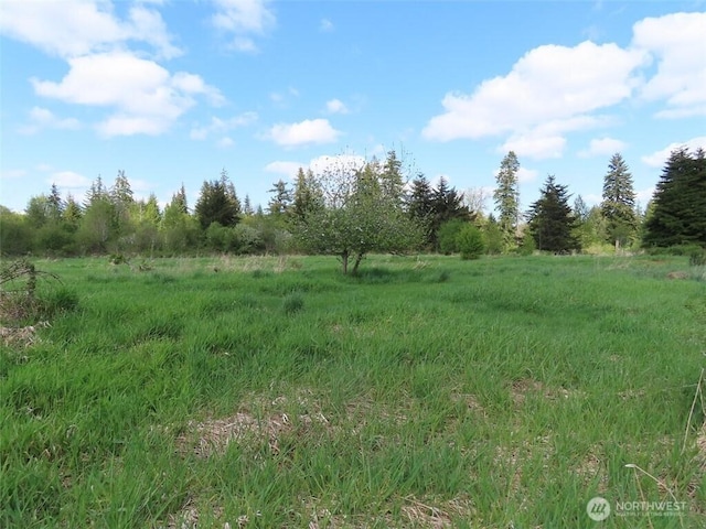 3898 State Route 6, Chehalis, WA 98532 - photo 16