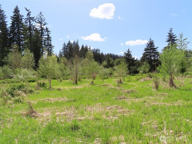 3898 State Route 6, Chehalis, WA 98532 - photo 17
