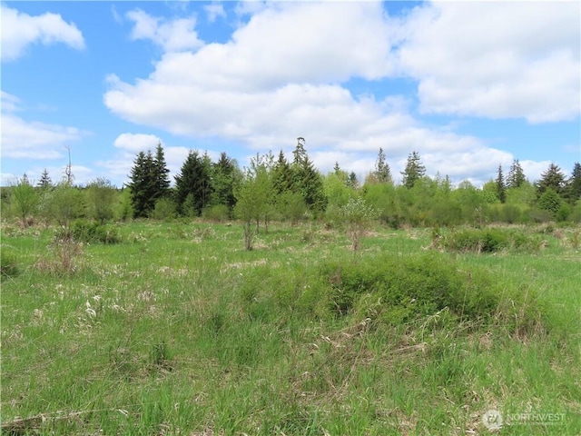 3898 State Route 6, Chehalis, WA 98532 - photo 19
