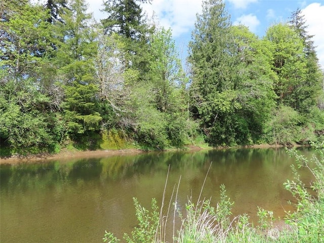 3898 State Route 6, Chehalis, WA 98532 - photo 20