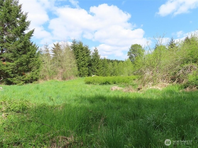 3898 State Route 6, Chehalis, WA 98532 - photo 21