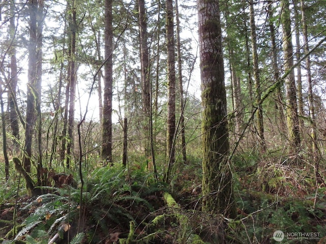3898 State Route 6, Chehalis, WA 98532 - photo 22