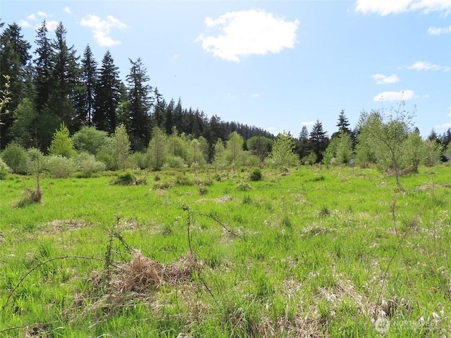 3898 State Route 6, Chehalis, WA 98532 - photo 23