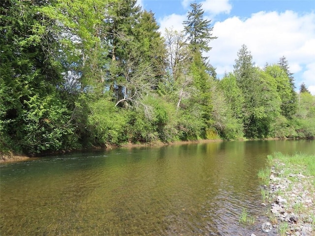 3898 State Route 6, Chehalis, WA 98532 - photo 24